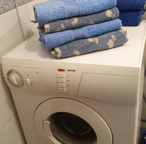 Fortuna Rajna Apartman